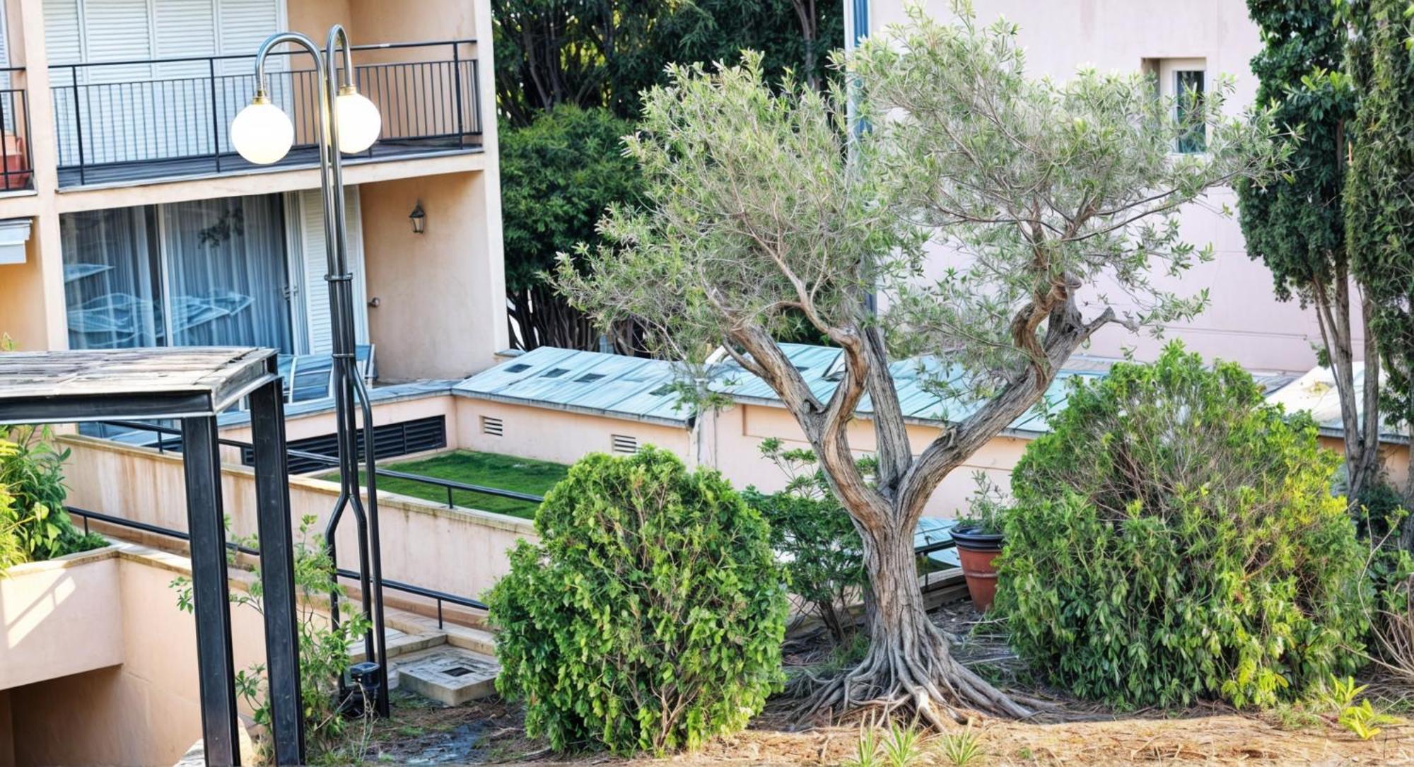 Precioso Apartamento Reformado En 1Ra Linea De Mar Sin Vistas Calella De Palafrugell Rom bilde